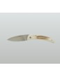 Gayar bois de Cerf de Java