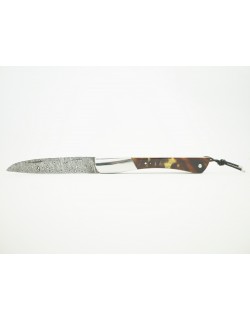 Tec-Tec Carapace de Tortue Lame Damas 