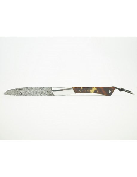 Tec-Tec Carapace de Tortue Lame Damas 