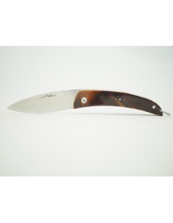 Gayar en Carapace de Tortue