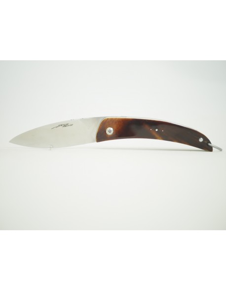 Gayar en Carapace de Tortue