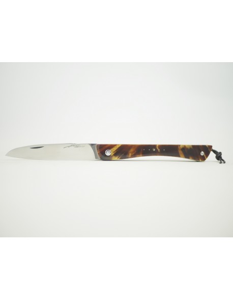 Tec-Tec en Carapace de tortue Reunion 