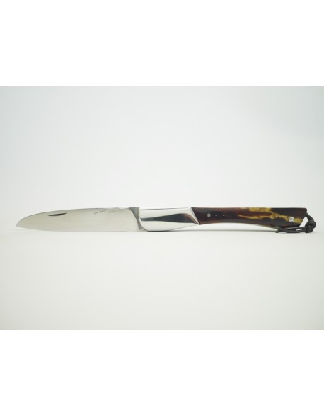 TEC-TEC en Carapace de Tortue une mitre