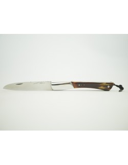 TEC-TEC  en Carapace de tortue une mitre