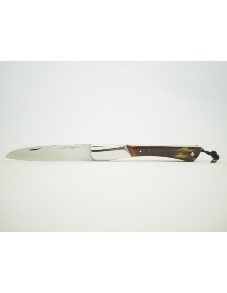 TEC-TEC  en Carapace de tortue une mitre