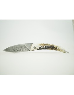 Gayar Bois de cerf de Java Reunion