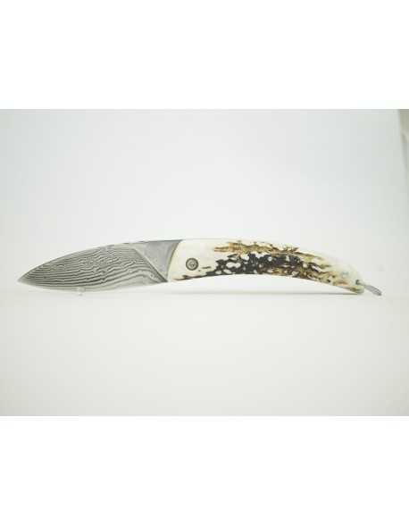 Gayar Bois de cerf de Java Reunion